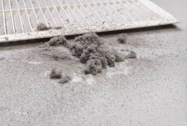 Best Local Air Duct Cleaning Services  in Merian, ID