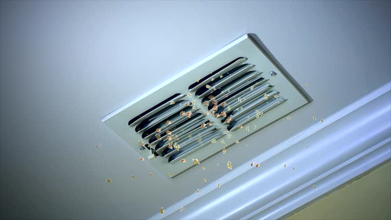 Best Best Air Duct Cleaning Company  in Merian, ID
