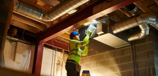 Air Duct Mold Removal in ID