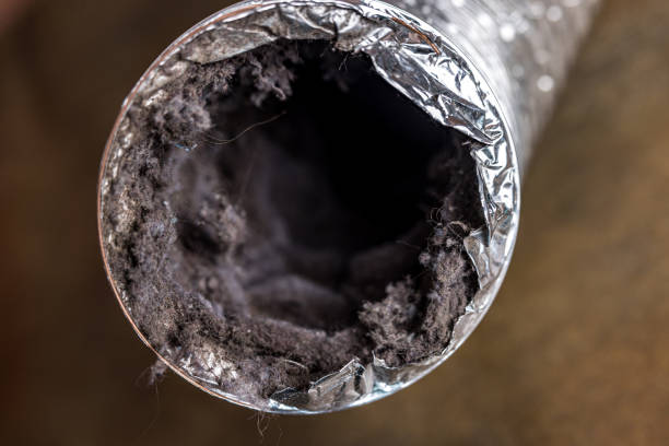 Best Affordable Duct Cleaning Services  in Merian, ID