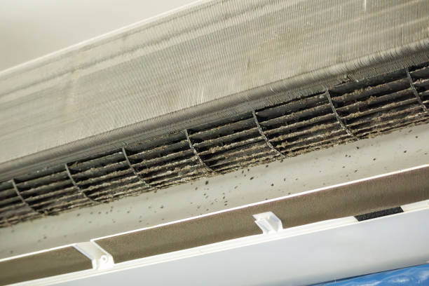 Best Residential Air Duct Cleaning  in Merian, ID