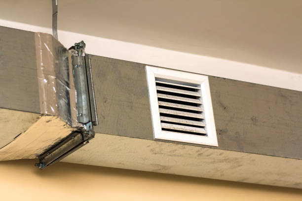 Best Dryer Vent Cleaning Services  in Merian, ID